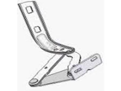 SAĞ KAPUT MENTEŞESİ MST