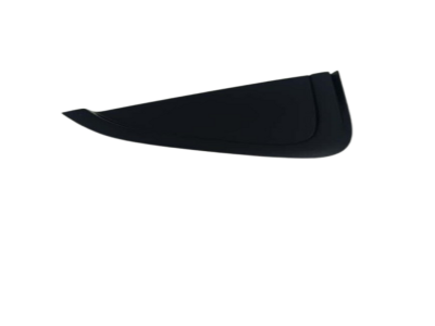 SOL KÜSTOD KAPLAMASI