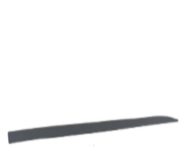 SAĞ ÖN KAPI BANT ÇITASI