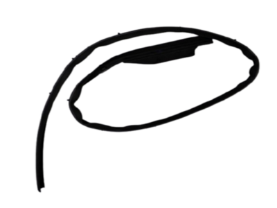 SOL ARKA MARŞPİYE FİTİLİ