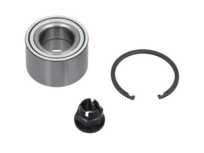 MOTRIO RULMAN TAKIMI