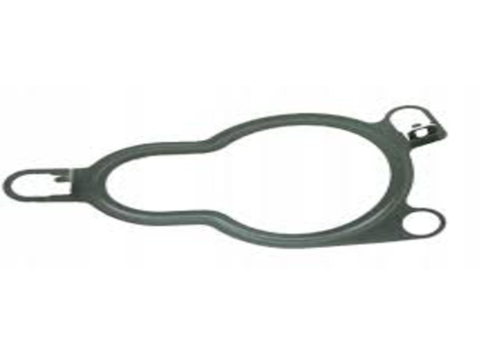 EGR VANASI CONTASI M9R