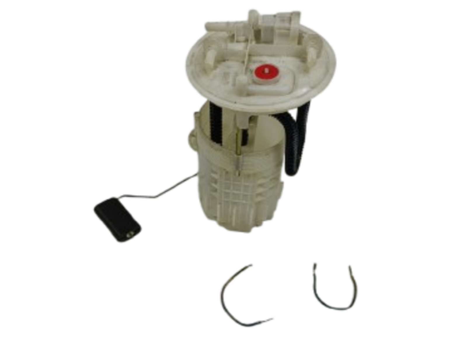 MAZOT ŞAMANDRASI KNG